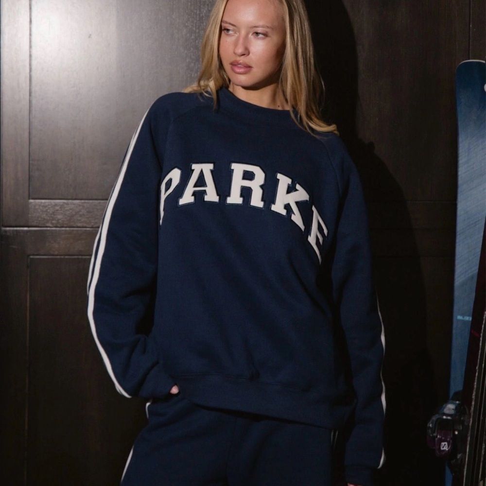 NIB Parke Sport Stripe Fleece Mockneck - Storm